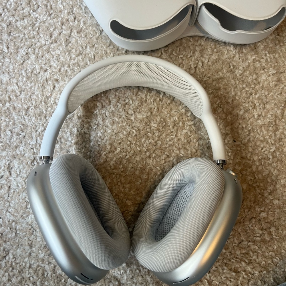 Apple Headphones - Silver and White